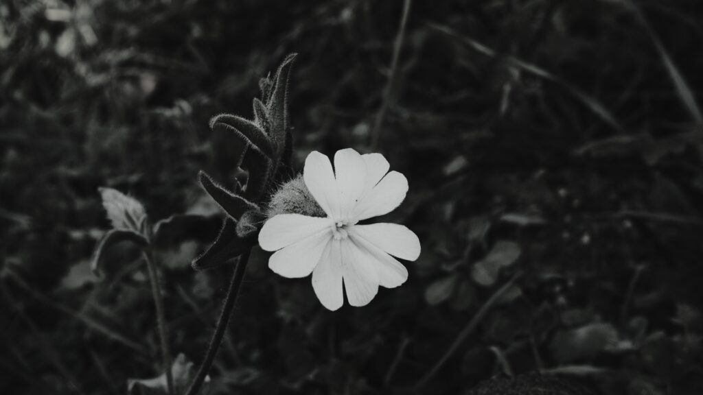 untitled 1.4.1