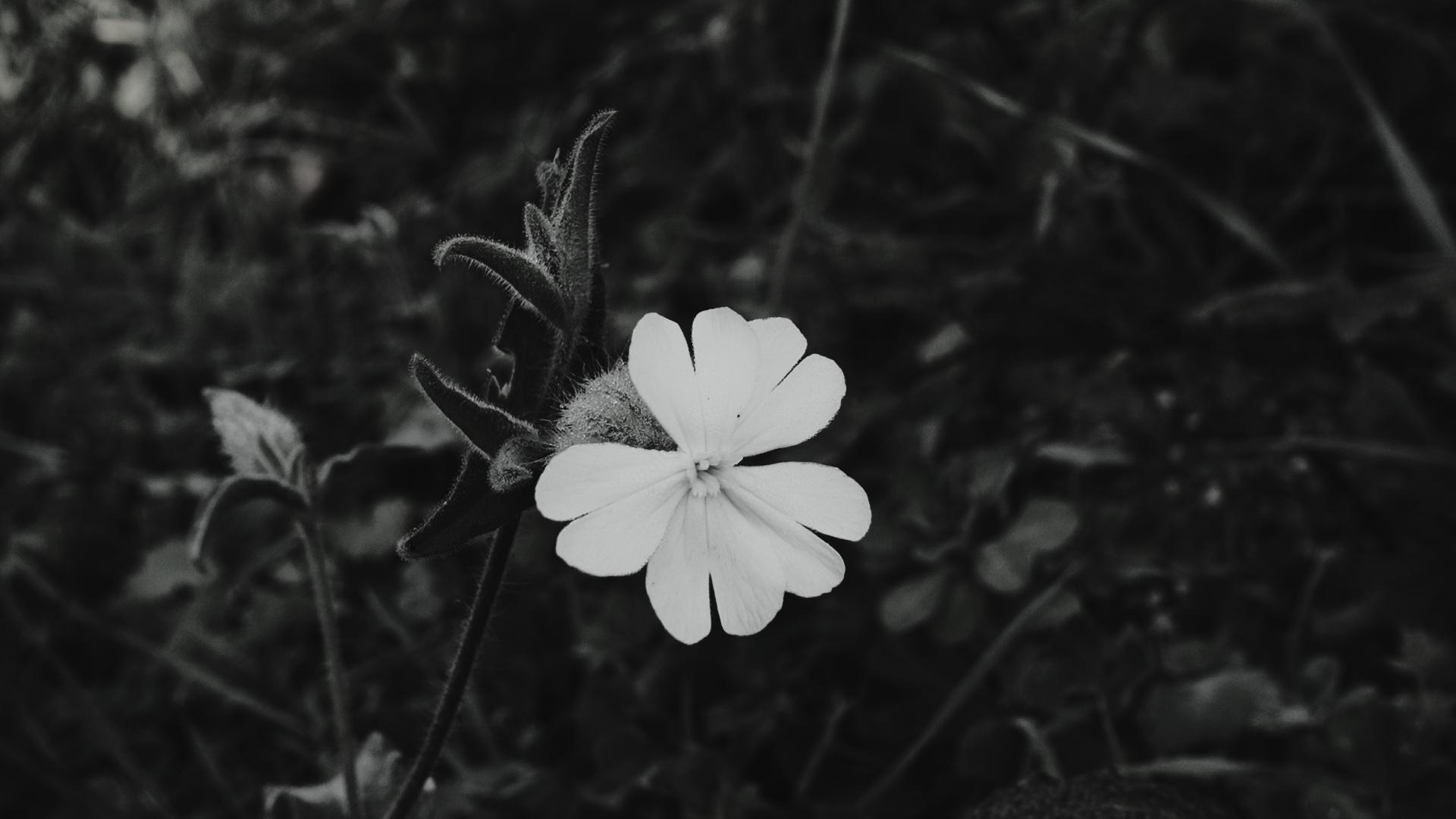 untitled 1.4.1